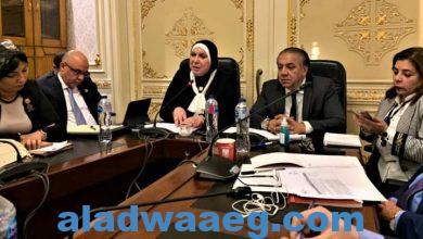 صورة وزيرة التجارة والصناعة تستعرض مع أعضاء لجنة الشئون الافريقية بمجلس النواب استراتيجية الدولة لتعزيز العلاقات الاقتصادية المصرية الافريقية.