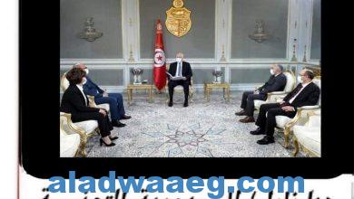 صورة نشاط رئيس الجمهورية التونسية                         قيس سعيد