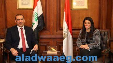 صورة الدكتورة رانيا المشاط تبحث مع وزير التخطيط العراقي متابعة موضوعات اللجنة المصرية العراقية المشتركة