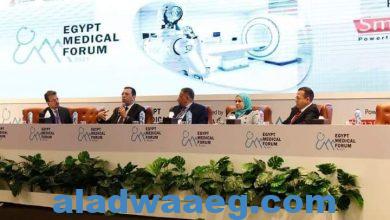 صورة تطبيق القواعد العالمية لتنظيم صناعة وتجارة الأدوية في مصر..