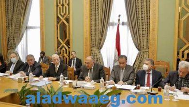 صورة وزير الخارجية يفتتح اجتماع اللجنة الدائمة لمتابعة العلاقات المصرية الأفريقية