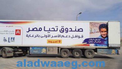 صورة تتضمن 24 طن مواد غذائية و4000 بطانية  صندوق تحيا مصر ينظم قافلة حماية اجتماعية لرعاية 2000 أسرة في أسيوط