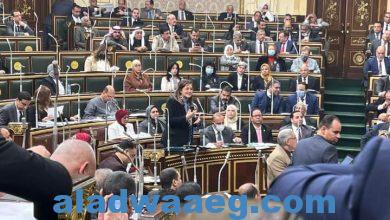 صورة وزيرة التخطيط والتنمية الاقتصادية أمام مجلس النواب: