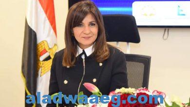 صورة وزيرة الهجرة تتلقى تقريرًا بشأن أول تأمين على المصريين بالخارج خلال أول أربعة أيام من تطبيقه.