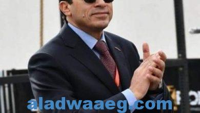 صورة إحتفالية ورسالة حب فى عيد الشرطة المصرية    برعاية وزير الشباب ومحافظ القاهرة.
