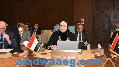 صورة وزيرة التجارة والصناعة تعلن توصيات الدورة الـ109 للمجلس الاقتصادي والاجتماعي لجامعة الدول العربية.
