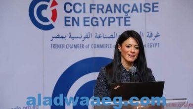 صورة الدكتورة رانيا المشاط وزيرة التعاون الدولي تلتقي أعضاء غرفة التجارة والصناعة الفرنسية في مصر بمناسبة احتفالها بمرور 30 عامًا على تأسيسها.