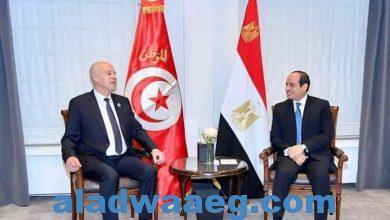 صورة السيسى يلتقى مع رئيس الجمهورية التونسية على هامش قمة بروكسل.