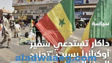صورة السنغال ترفض دعوة اوكرانيا لحشد مجندين للحرب ضدد روسيا.