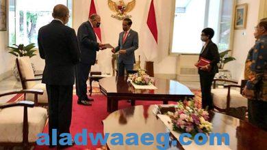 صورة الوزير سامح شكري يسلم رسالة موجهة من السيد الرئيس إلى الرئيس الإندونيسي