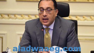 صورة رئيس الوزراء يتابع جهود صندوق مصر السيادي في جذب الاستثمارات للقطاعات الاقتصادية المختلفة.
