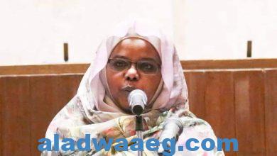 صورة د. سلمى عبد الجبار عضو مجلس السيادة الانتقالي السوداني تثمن الدور الريادي للمرأة