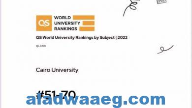 صورة جامعة القاهرة في المرتبة 271 عالميًا لأول مرة في قطاع الآداب والعلوم الإنسانية.