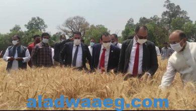 صورة وزير الزراعة يعلن اعتماد الهند كمنشأ جديد لاستيراد القمح 