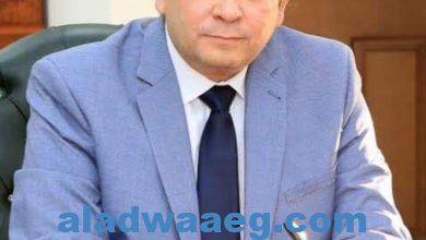 صورة وزير المالية شهادة ثقة عالمية لمصر.. في مشروعات «المشاركة مع القطاع الخاص»