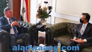 صورة وزير قطاع الأعمال العام يبحث مع سفير اليابان بالقاهرة تعزيز التعاون الاقتصادي
