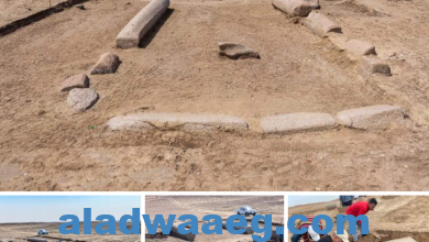 صورة الكشف عن بقايا معبد زيوس كاسيوس بموقع تل الفرما بمنطقة آثار شمال سيناء