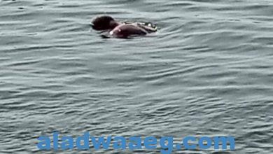 صورة إنتحار شاب بنهر النيل بملوى جنوب المنيا