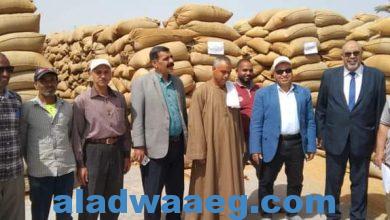 صورة وكيل زراعة الفيوم ومدير البنك الزراعي المصري يتبعون عملية توريد القمح بشونة الشواشنة