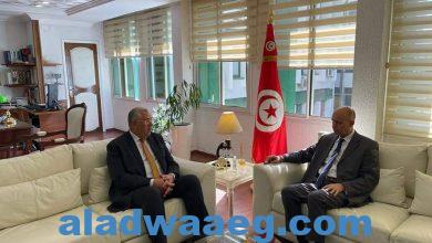 صورة وزير الزراعة يبحث مع وزير الفلاحة التونسي التعاون بين البلدين في المجالات الإنتاح النباتي والحيواني والسمكي والصادرات الزراعية