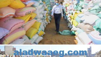 صورة محافظ الغربية يتفقد توريد القمح ويفض سوق عشوائي بقطور 