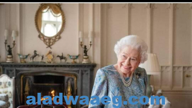 صورة الملكة إليزابيث تغيب عن المزيد من الاحتفالات