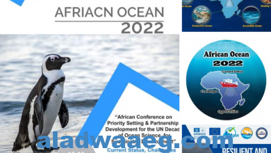 صورة التعليم العالي والبحث العلمى : من أجل التنمية المُستدامة مصر تستضيف المؤتمر الإفريقي لتحديد الأولويات وتطوير الشراكة لعقد الأمم المتحدة لعلوم المحيطات