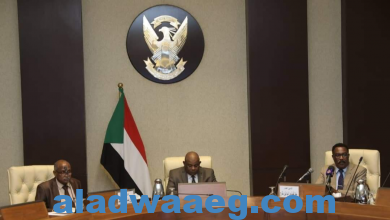صورة بدء أعمال اللقاء التشاوري حول مساهمة المهاجرين السودانيين في دعم الاقتصاد الوطني