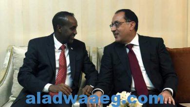 صورة رئيس الوزراء ينقل تهنئة وتحيات الرئيس السيسي إلى نظيره الصومالي