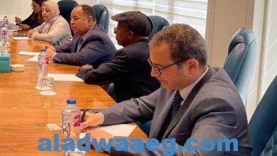 صورة وزير الماليه تعزيز العلاقات الثنائية في إطار الجهود المصرية لتحقيق التكامل الأفريقي