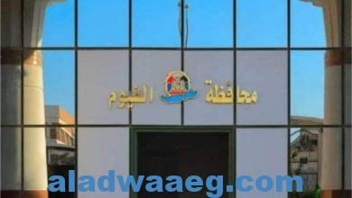 صورة إغلاق 3 كيانات وهمية في محافظة الفيوم