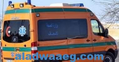 صورة مصرع شخص وإصابة آخر فى مشاجرة بين عائلتين على قطعة أرض بمدينة إسنا جنوب الأقصر الاقصر 