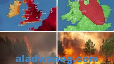 صورة إعلان حالة الطوارئ في جميع أنحاء بريطانيا بسبب ارتفاع قياسي في درجات الحرارة ..