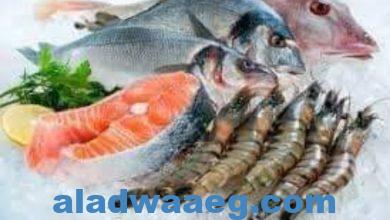 صورة استقرار أسعار الأسماك في سوق العبور اليوم 16 يوليو