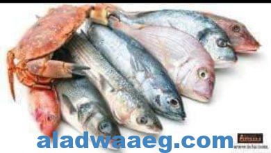 صورة جريدة وموقع الاضواء ننشر أسعار الأسماك في سوق العبور اليوم 17 يوليو