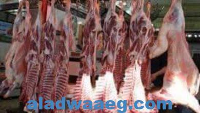صورة أسعار اللحوم فى مصر اليوم.. ما بين 160 إلى 195 جنيها للكيلو