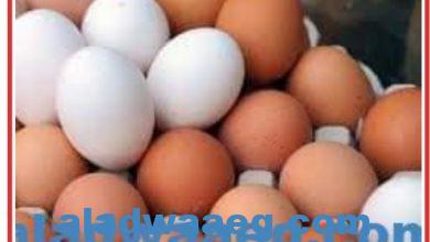 صورة لليوم الثاني.. استقرار أسعار البيض اليوم السبت 23 يوليو