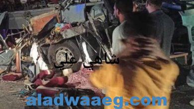 صورة مصرع 6 أشخاص وإصابة 21. شخص آخرين في حادث تصادم بين أتوبيس ونقل بالقرب من بوابة الرسوم   