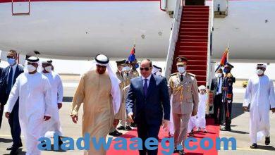 صورة السيد الرئيس يستقبل الشيخ محمد بن زايد بمطار العلمين