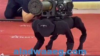 صورة روسيا تطلق «الجندي الكلب» بقاذف قنابل فوق ظهره |شاهد