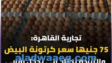 صورة تجارية القاهرة: 75 جنيها سعر كرتونة البيض والزيادة تحتاج إلى تدخل رقابي