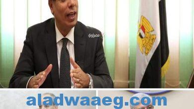 صورة وزير التعليم العالي يصدر قرارًا بإغلاق كيان وهمي بمحافظة الفيوم
