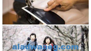 صورة (اليابان )اختراع (حقائب ظهر) الكترونية للصراصير ترشد الى انقاذ الناجين من الكوارث