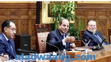 صورة الرئيس السيسي يكشف عن مفاجأة بشأن القطاع الخاص في مصر
