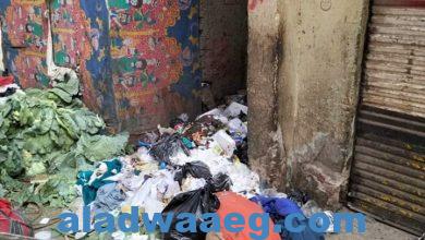 صورة رفع مخلفات القمامه الموجودة بحي الشرابيه