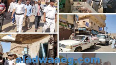 صورة بالصور..حملة مكبرة لرفع الإشغالات والتعديات والباعة الجائلين بإسنا جنوب محافظة الاقصر