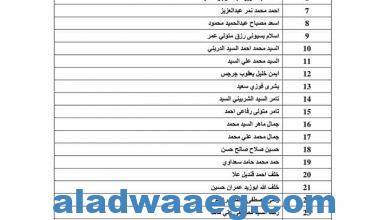 صورة القوى العاملة تعلن عن أسماء القائمة رقم 101 من مستحقات عمالة مصرية غادرت الاردن