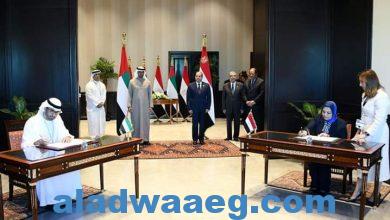 صورة  السيسي ورئيس الإمارات يشهدان التوقيع على مذكرة تفاهم