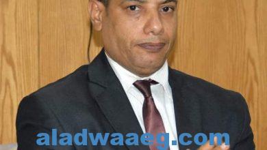 صورة إبراهيم عيسى ارفض بيان البرلمان الأوروبي وتدخله في الشأن المصري