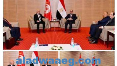 صورة السيسي يلتقى قيس سعيد، رئيس الجمهورية التونسية،هامش مشاركته في القمة العربية في الجزائر